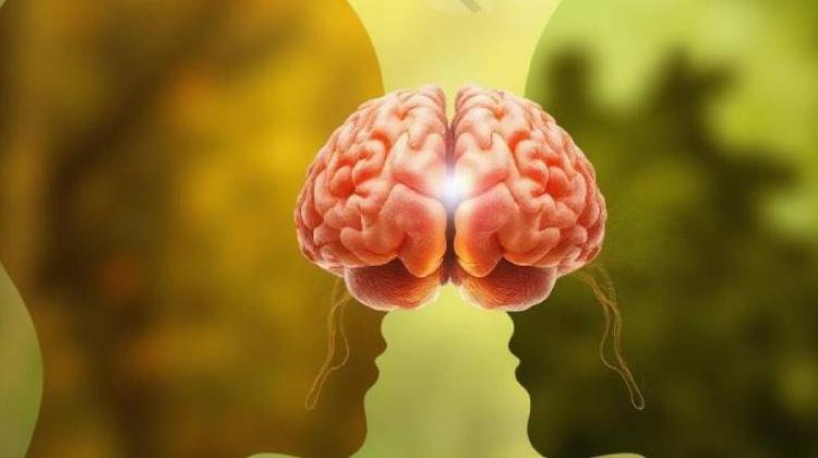 Snaga ljudskog kapitala