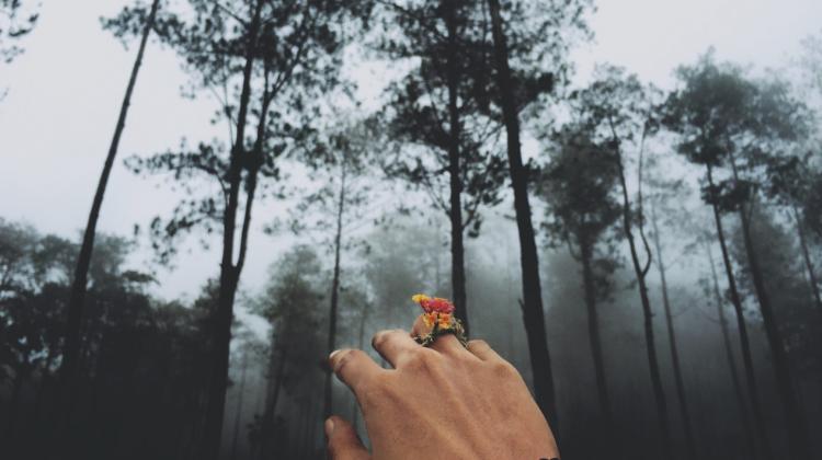 unsplash.com unsplash.com