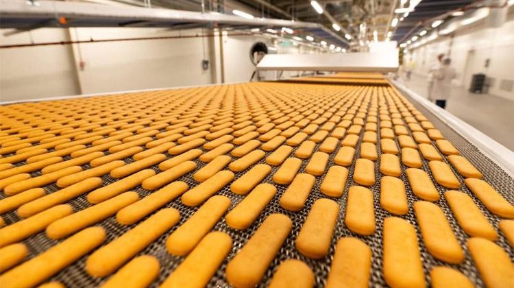 plazma keks plazma keks